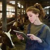 desempenho-zootecnico