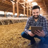 sustentabilidade-na-fazenda-CSJ