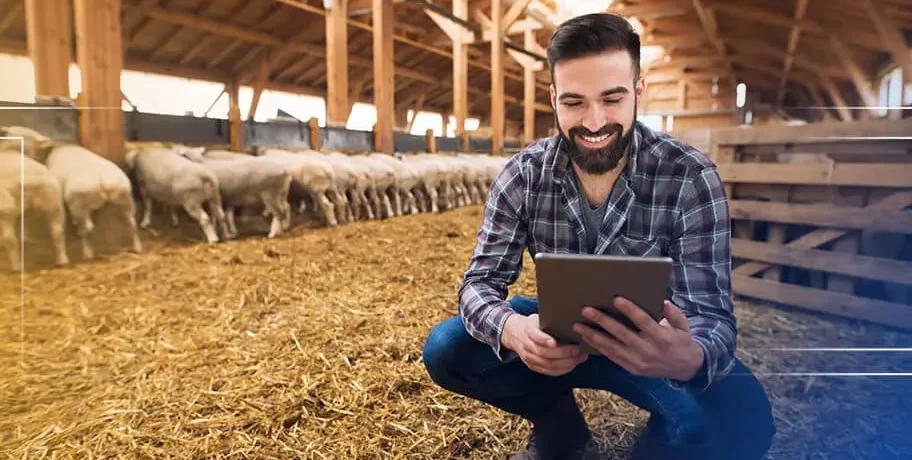 sustentabilidade-na-fazenda-CSJ sustentabilidade-na-fazenda-CSJ